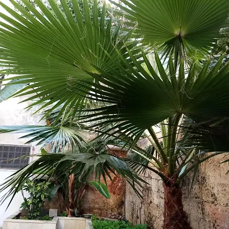 Dimora Storica Le Perle לינה וארוחת בוקר לצ'ה